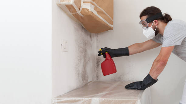 Professional Bathroom Mold Removal technician working in Perry Hall, MD