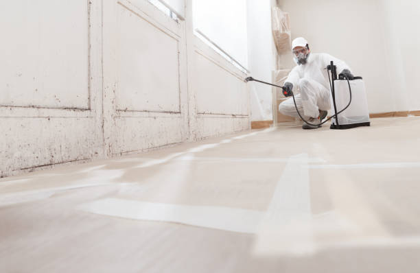 24/7 Emergency Bathroom Mold Removal experts in Perry Hall, MD