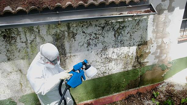 Top rated local Bathroom Mold Removal specialists in Perry Hall, MD